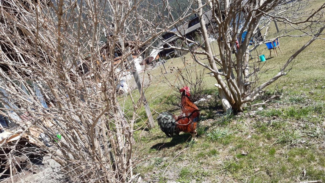 Wiesingbauer Saalfelden Zewnętrze zdjęcie