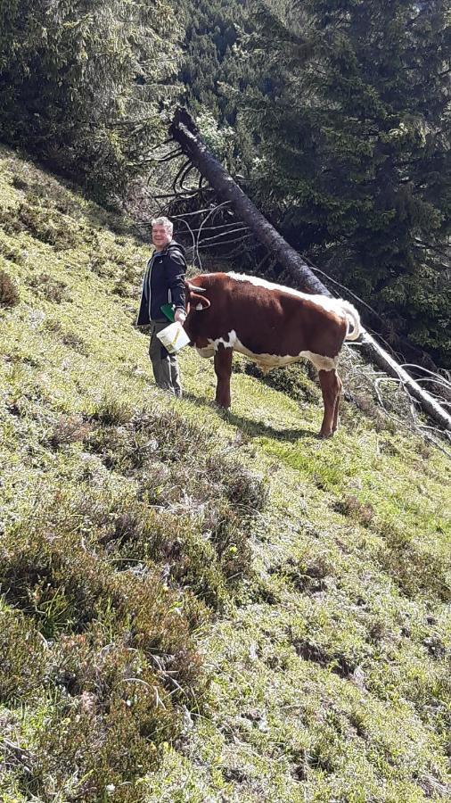 Wiesingbauer Saalfelden Zewnętrze zdjęcie