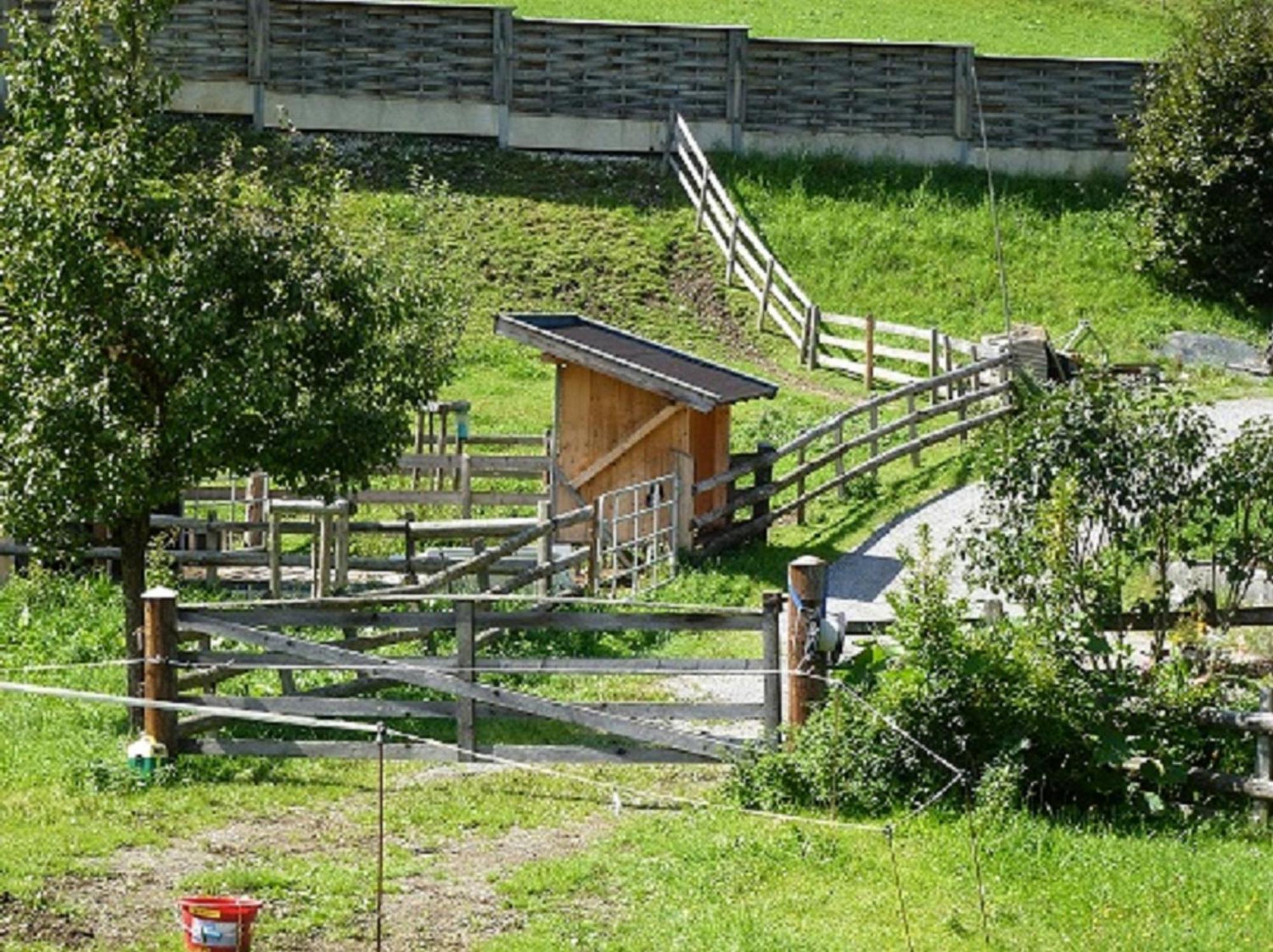 Wiesingbauer Saalfelden Zewnętrze zdjęcie