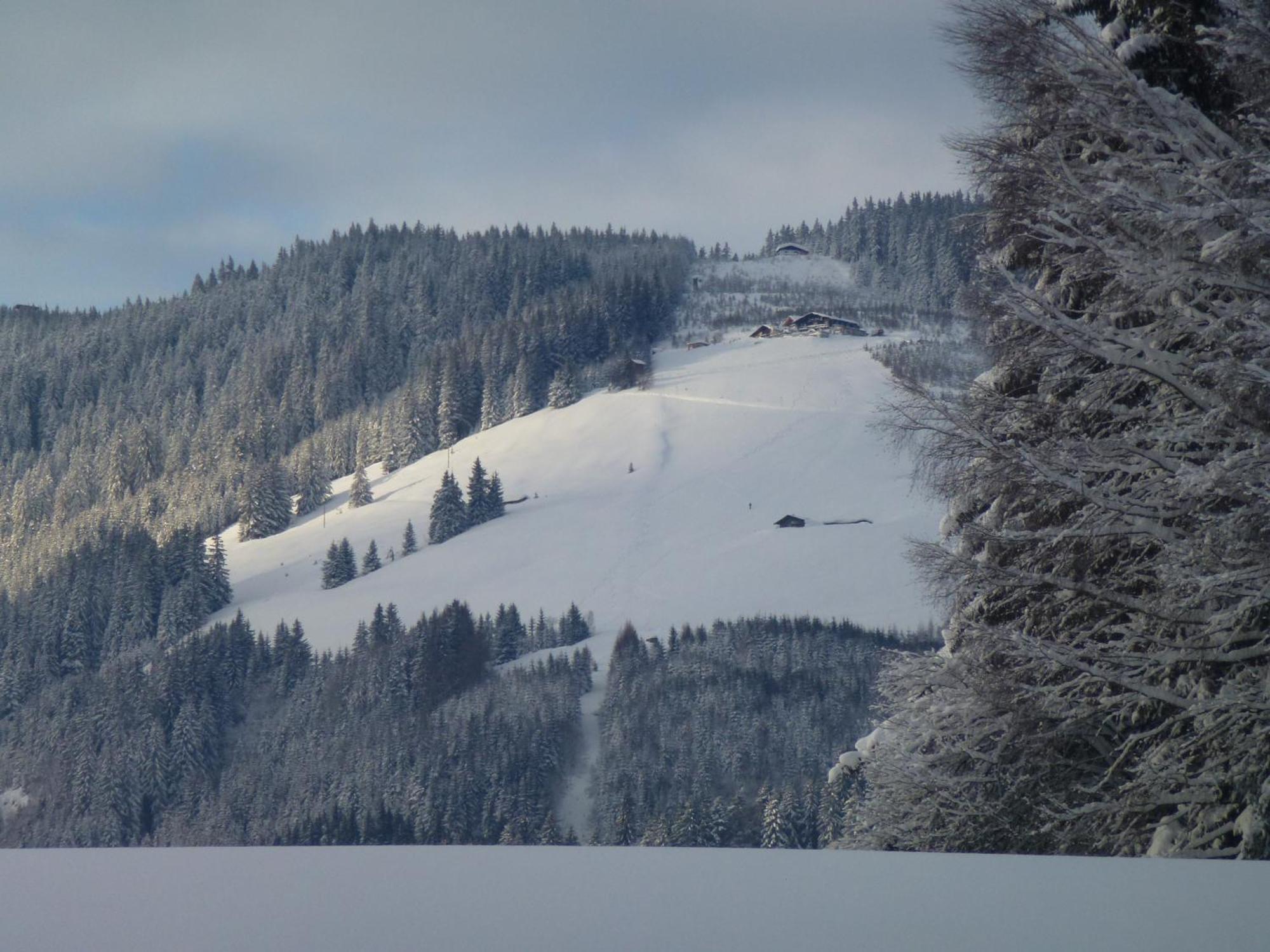 Wiesingbauer Saalfelden Zewnętrze zdjęcie
